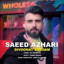 دانلود آهنگ جدید سعید اظهری به نام دیوونت شدم